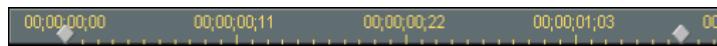 PINNACLE HOLLYWOOD FX V5.5 - The Time ruler (timecode divisions) - 1