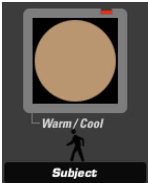 PINNACLE MAGIC BULLET LOOKS - Star Filter (appears in Matte) - 2