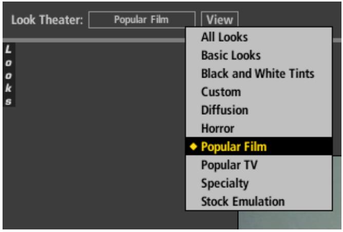 PINNACLE MAGIC BULLET LOOKS - Look Theater - 1