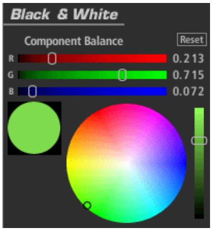 PINNACLE MAGIC BULLET LOOKS - Black and White (appears in Camera) - 1