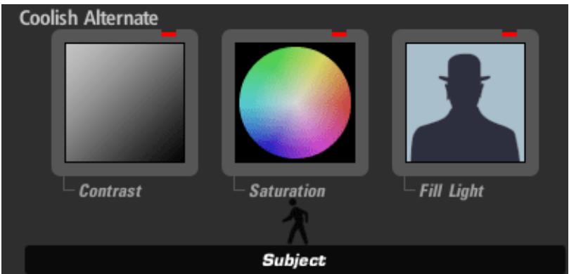 PINNACLE MAGIC BULLET LOOKS - Subject Tools - 1