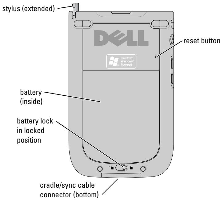 DELL AXIM X51 - Back View - 1