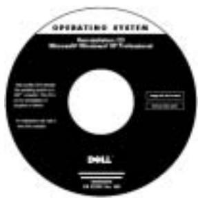 DELL LATITUDE C510 - Using the Resource - 2