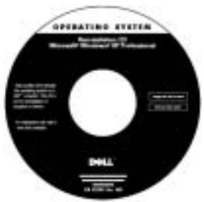 DELL LATITUDE C510 - Etykiety rejestracyjne i serwisowe - 1