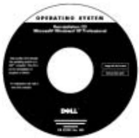 DELL LATITUDE C510 - Resurssin kayttaminen: - 2