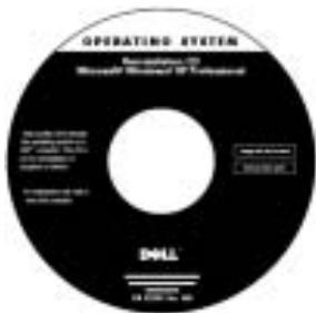 DELL LATITUDE C610 - Resurssin kayttaminen: - 3