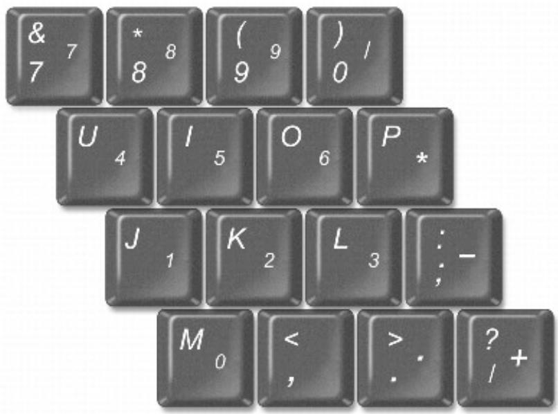 DELL LATITUDE D400 - Numeric Keypad - 1