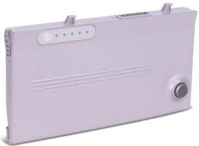 DELL LATITUDE D400 - Charge Gauge - 1