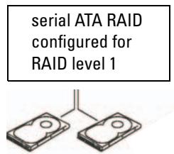 DELL DIMENSION E520 - RAID Level 1 - 1