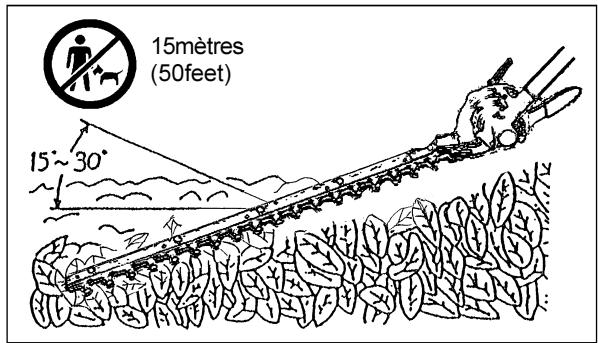 DOLMAR MH-2556 - PRÉCAUTIONS AVANT LE DÉMARRAGE DU MOTEUR - 6