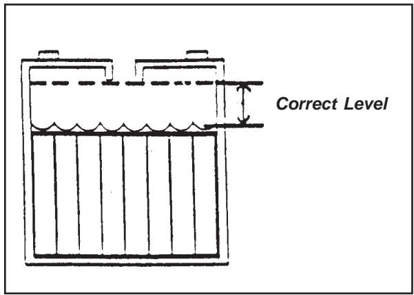 NILFISK SCRUBTEC 751 - Battery Maintenance - 4