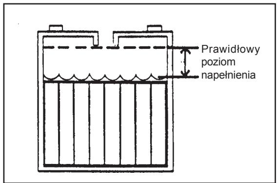 NILFISK SCRUBTEC 784 - Obsługa akumulatorów - 5