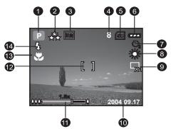 BENQ C420 - LCD monitor information (camera mode) - 1