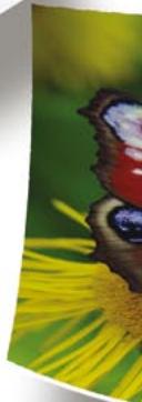 OKI C800 - Petite en taille et en coulter. mais d'une efficacité remarquable - 5