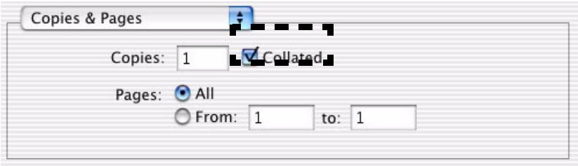 OKI C5300NCCS - Assemblage - 2