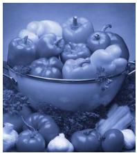 OKI C6000DTN - Blue tone (tons de bleu) - 1