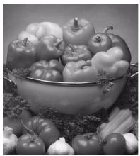 OKI C6000N - Blue tone (tons de bleu) - 2