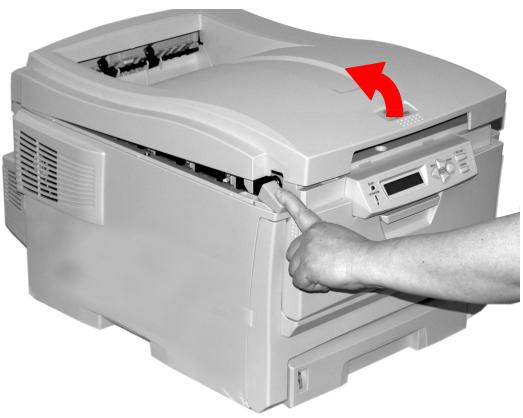 OKI C6000N - Courroie de transfert - 2