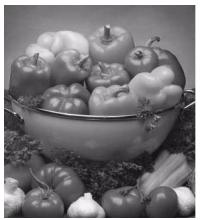 OKI C6050DN - Blue tone (tons de bleu) - 2