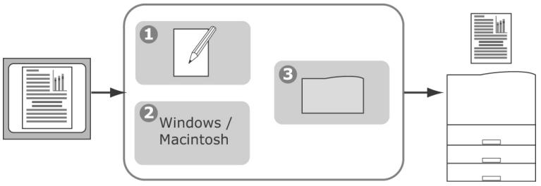 OKI C6050DN - Notions de base - 1
