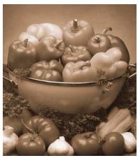 OKI C6050DN - Blue tone (tons de bleu) - 4