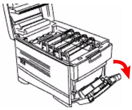 OKI C7350N - Vérifiez l'unité duplex - 1