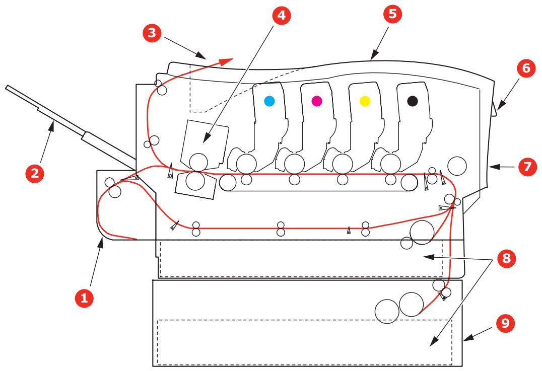 OKI C810N - SUPPRESSION DES BOURRAGES - 1