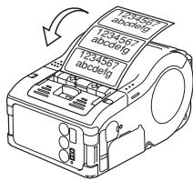 OKI LP441B - Printing - 1