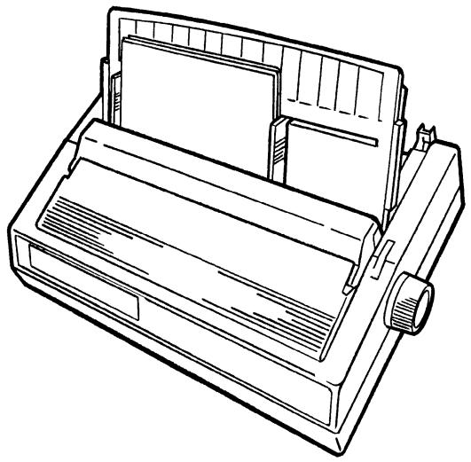 OKI ML 591 - Connect to Your Computer and to the Power Line - 5