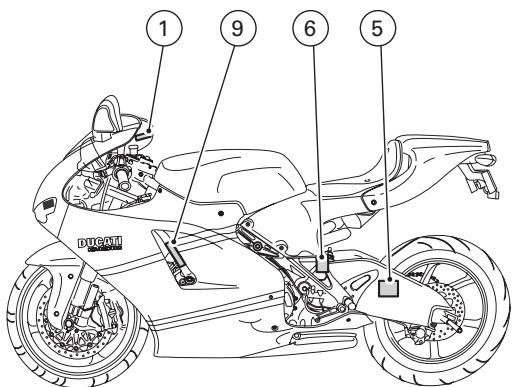 DUCATI DESMOSEDICI RR - Label location (fig. B) - 1