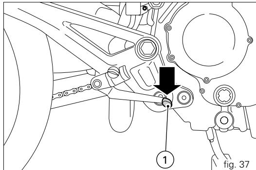 DUCATI MONSTER 1100 - Rear brake pedal (fig. 37) - 1
