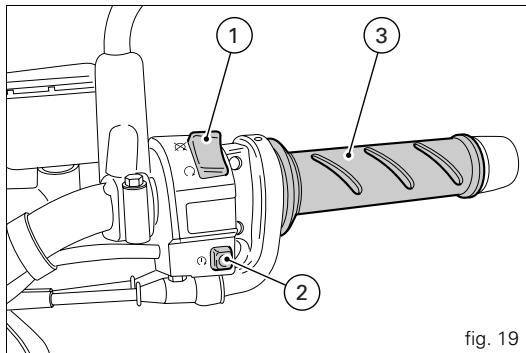 DUCATI MULTISTRADA 1100 - Throttle twistgrip (fig. 19) - 2