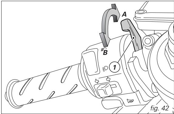 DUCATI 999 - Cold ambient temperature (below 10^ / 50^ ): - 1