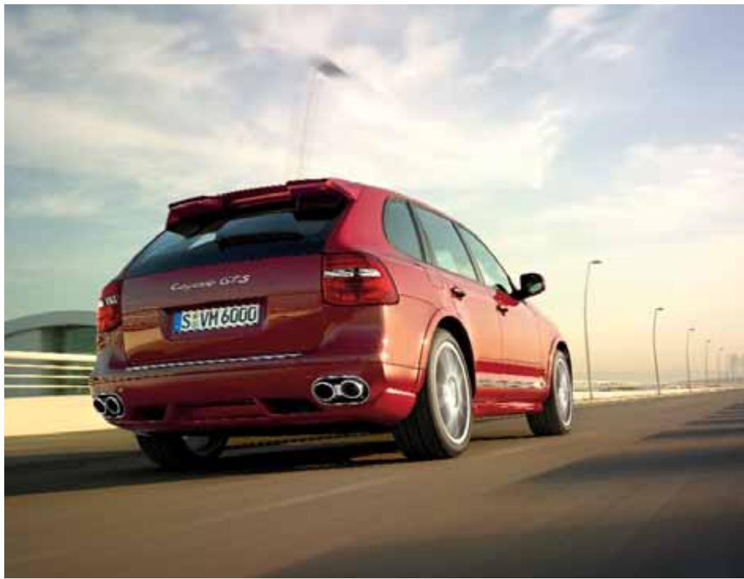 PORSCHE CAYENNE - Input data - 6