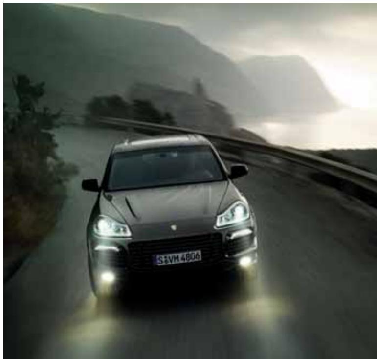 PORSCHE CAYENNE - Porsche Stability Management (PSM). - 2