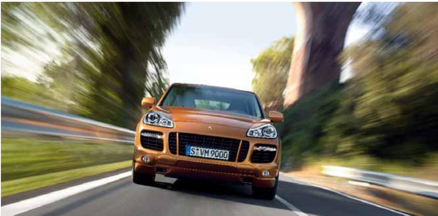 PORSCHE CAYENNE - Porsche Active Suspension Management (PASM). - 1