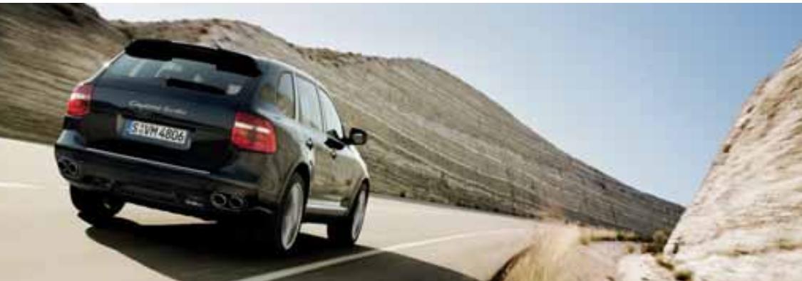 PORSCHE CAYENNE - Direct fuel injection (DFI). - 1