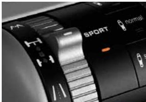 PORSCHE CAYENNE - From road to racetrack. At the push of a button. - 1