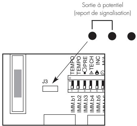 LEGRAND 432 07 - Report de signalisation - 2