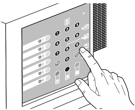 LEGRAND 432 07 - Test de la centrale et de la batterie - 1