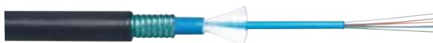 LEGRAND LCS 2 - Lien fibre optique - 2