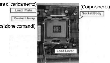 ASROCK 2CORE1066-2.13G - Installazione del processore - 2