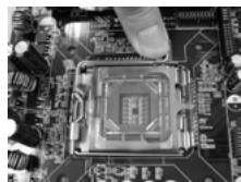 ASROCK 2CORE1066-2.13G - Etape 1. Ouvrez le socle : - 1