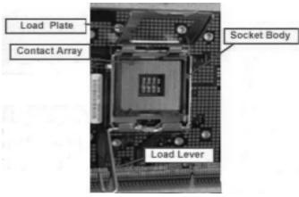 ASROCK 2CORE1066-2.13G - CPU Installation - 2