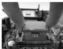 ASROCK 2CORE1066-2.13G - Fase 2. Inserire la CPU 775-Pin: - 5