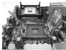 ASROCK 2CORE1066-2.13G - Etape 1. Ouvrez le socle : - 2
