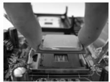 ASROCK 2CORE1066-2.13G - Sicherheitshinwelle vor der Montage - 10