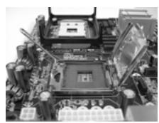 ASROCK 2CORE1066-2.13G - Sicherheitshinwelle vor der Montage - 6