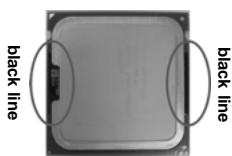 ASROCK 2CORE1066-2.13G - CPU Installation - 6
