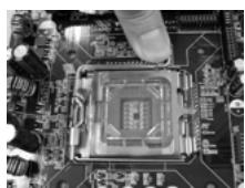 ASROCK 2CORE1066-2.13G - Sicherheitshinwelle vor der Montage - 5